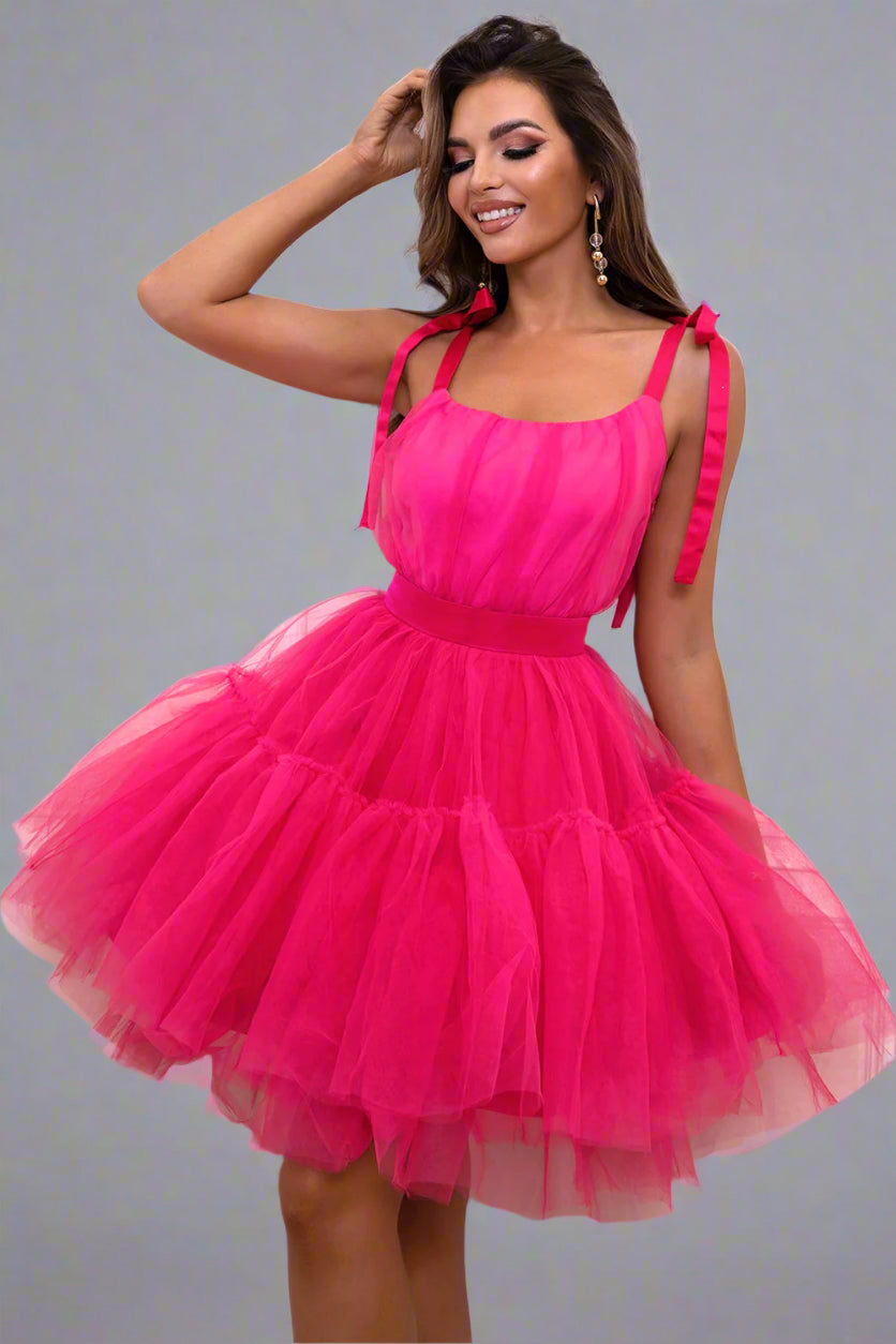 A woman is wearing  Tie-Shoulder Mesh Dress
 